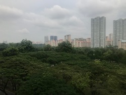 Blk 315A Ang Mo Kio Street 31 (Ang Mo Kio), HDB 4 Rooms #178376942